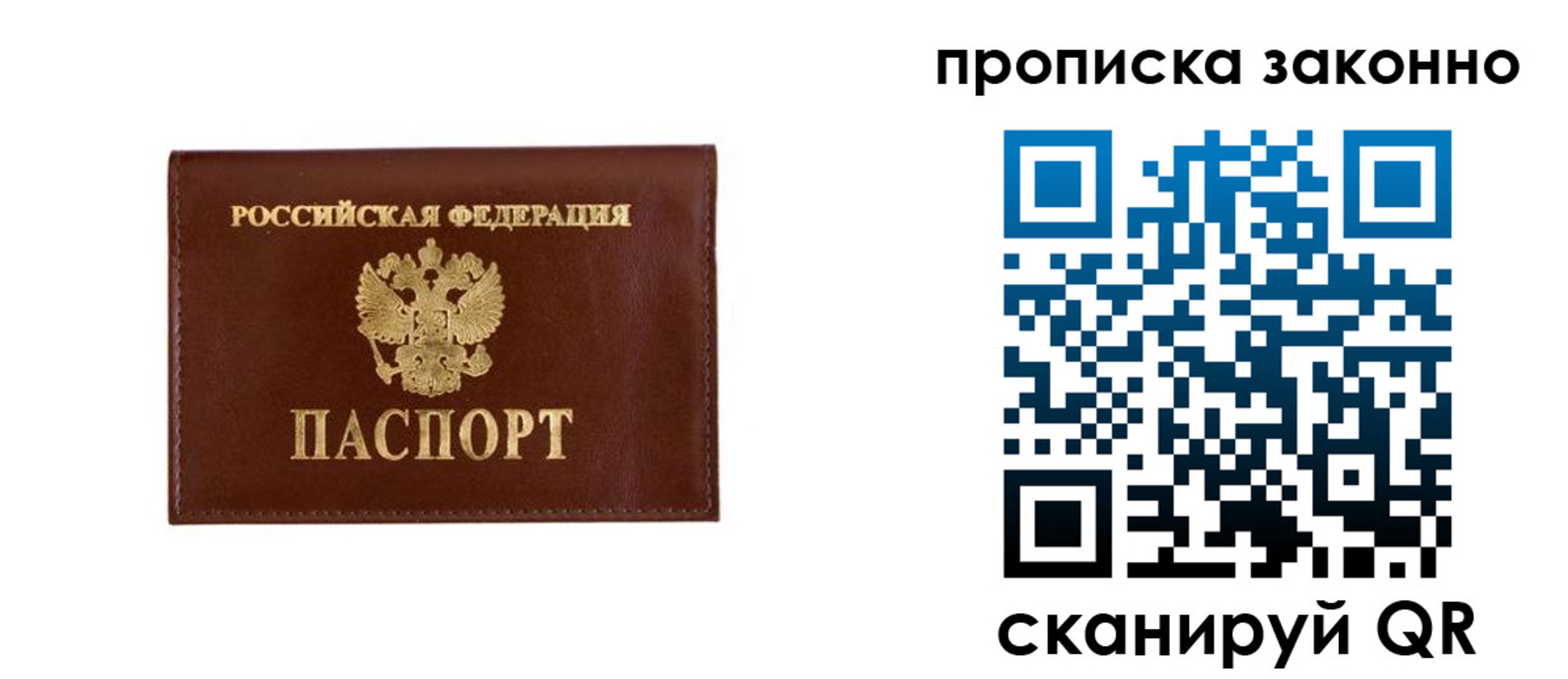 прописка штамп в Балтийске